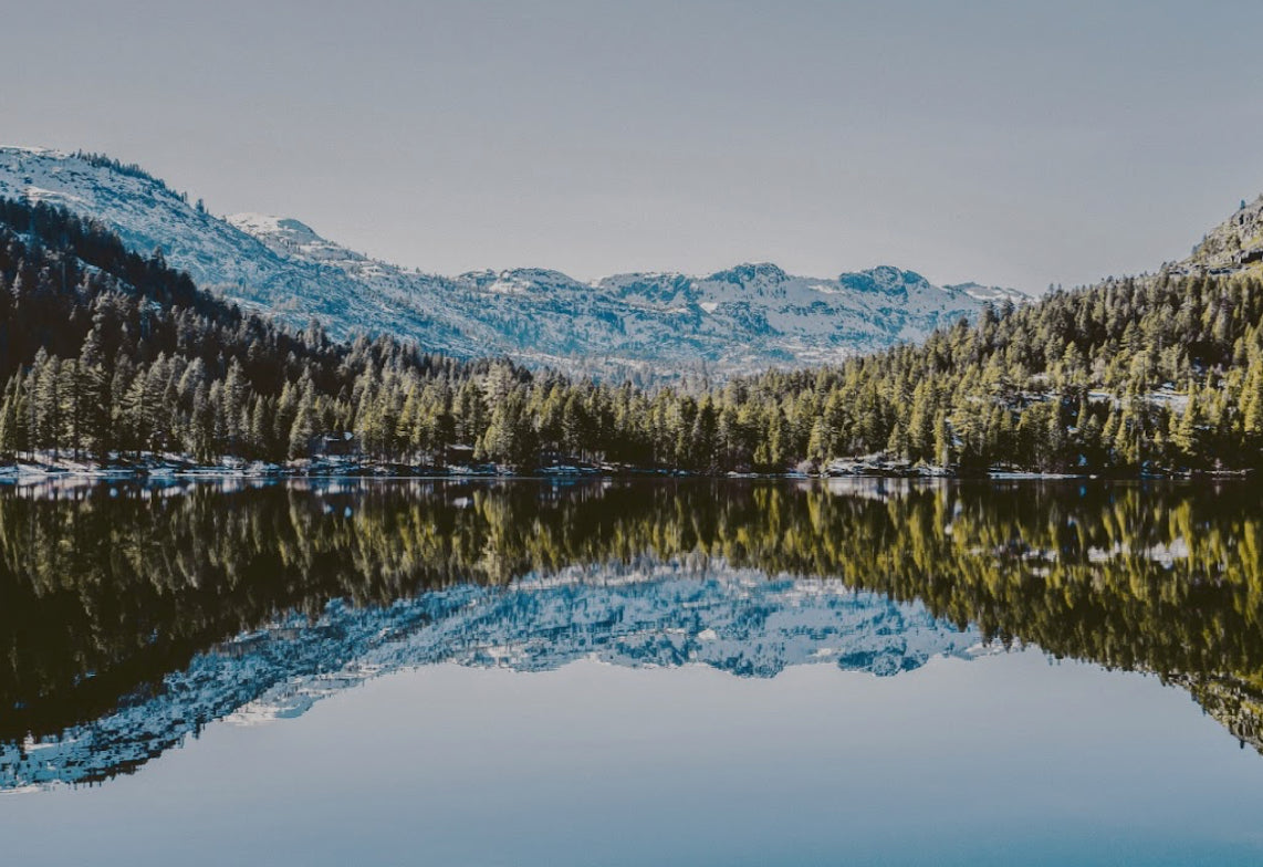 a shot of lake tahoe showing the reflection of surrounding trees and mountains. 